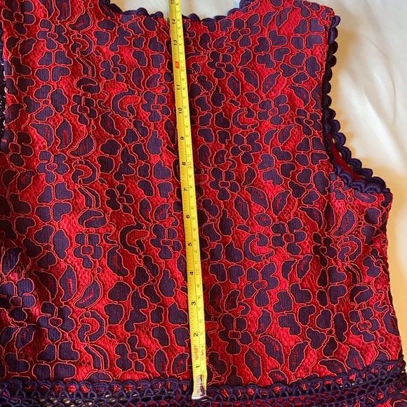 Mystic red & purple lace dress w/ peek-a-boo net - Picture 10 of 16
